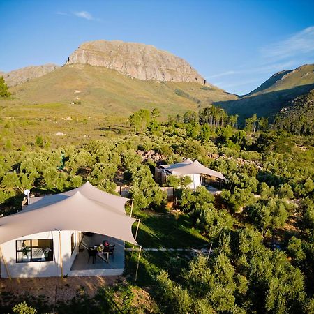 Wagyu Mountain Lodge Paarl Εξωτερικό φωτογραφία