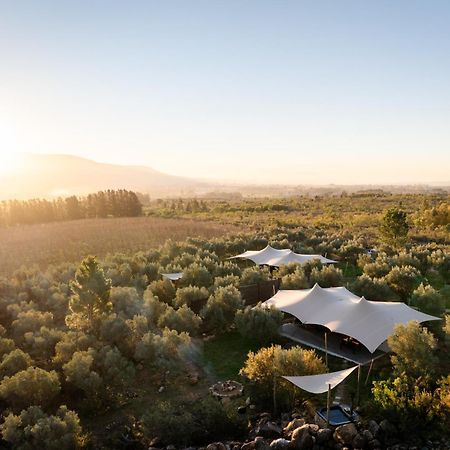 Wagyu Mountain Lodge Paarl Εξωτερικό φωτογραφία