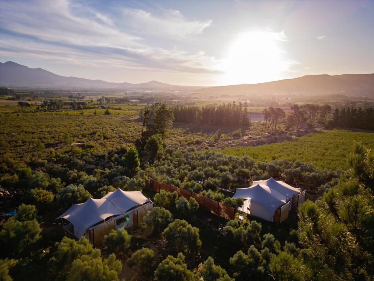 Wagyu Mountain Lodge Paarl Εξωτερικό φωτογραφία