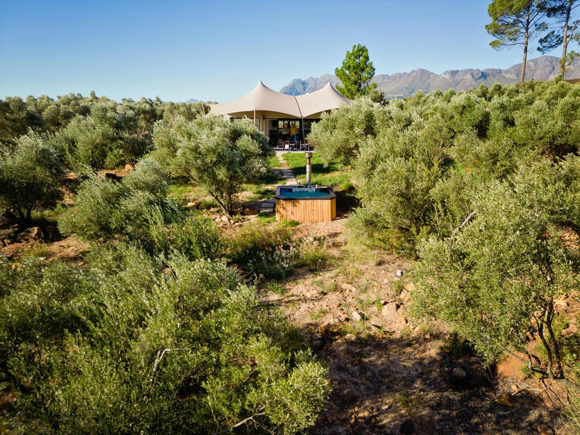 Wagyu Mountain Lodge Paarl Εξωτερικό φωτογραφία