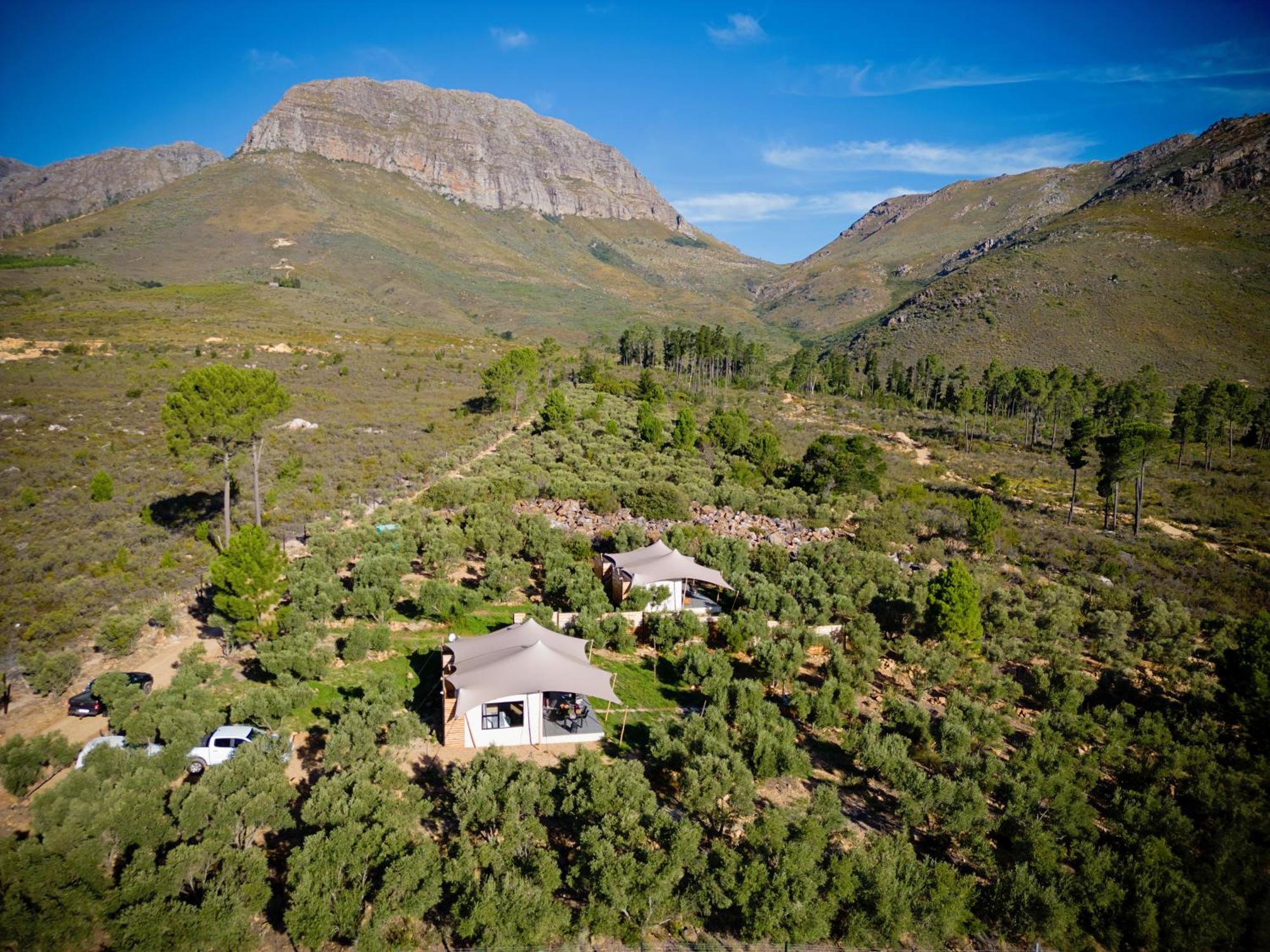 Wagyu Mountain Lodge Paarl Εξωτερικό φωτογραφία
