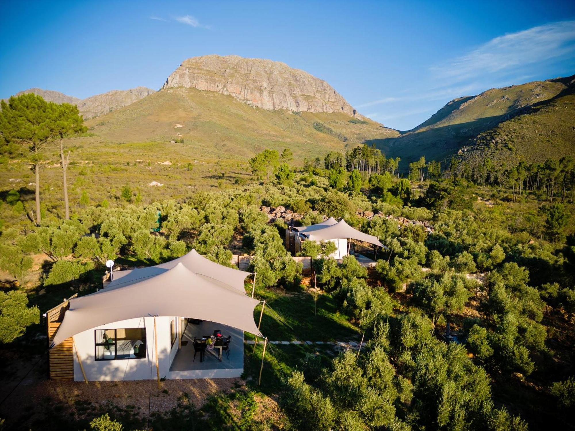 Wagyu Mountain Lodge Paarl Εξωτερικό φωτογραφία