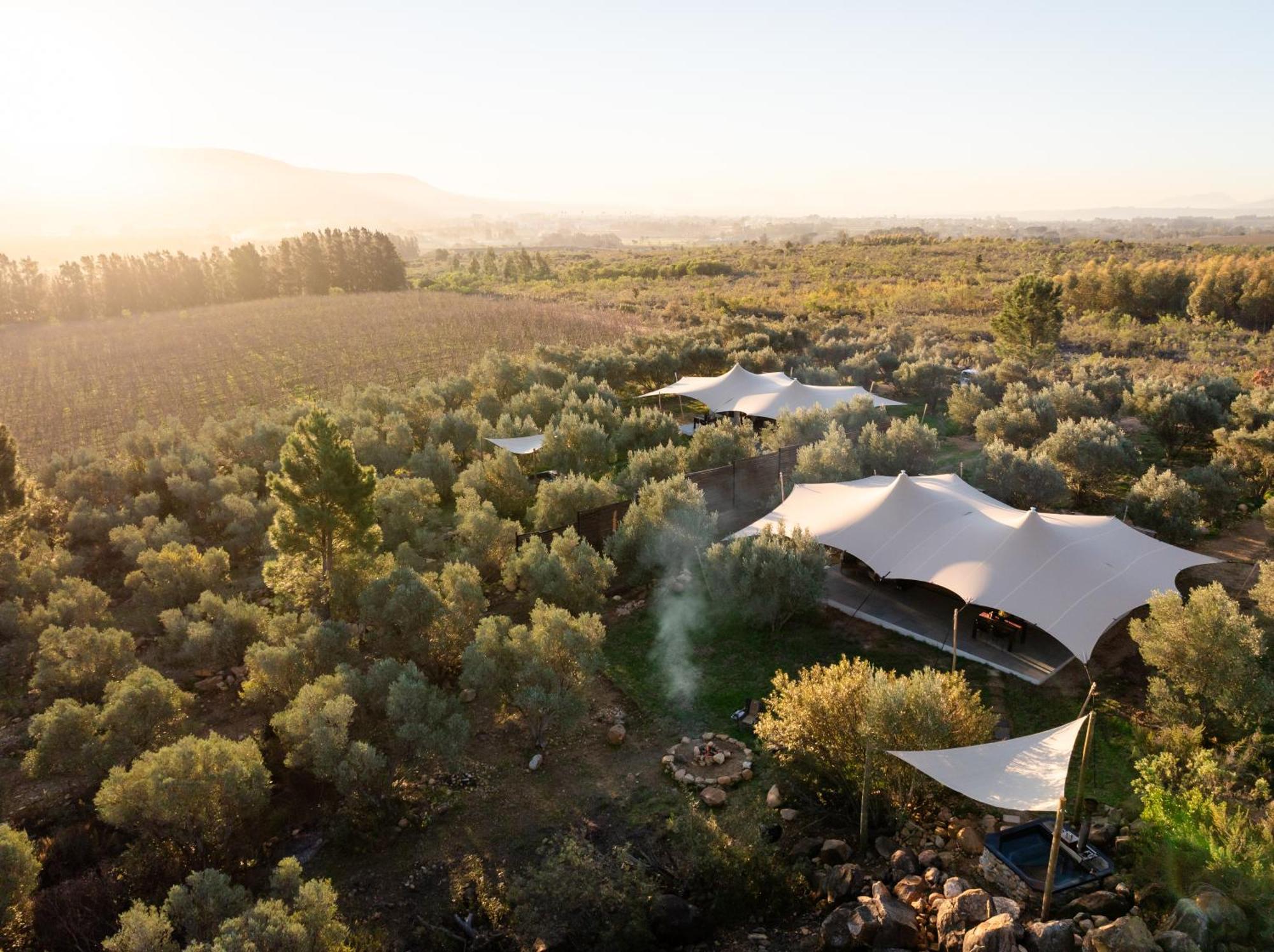 Wagyu Mountain Lodge Paarl Εξωτερικό φωτογραφία