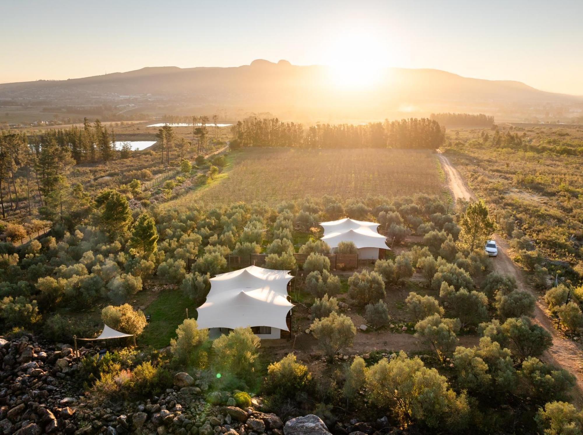 Wagyu Mountain Lodge Paarl Εξωτερικό φωτογραφία